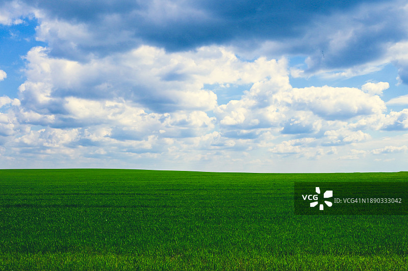 白俄罗斯，天空映衬下的农田风景图片素材