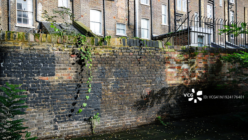 英国伦敦，一堵风化的砖墙和野生植物的侧视图。背景是住宅建筑的后立面。阳光和阴影。自然的颜色。没有人。图片素材