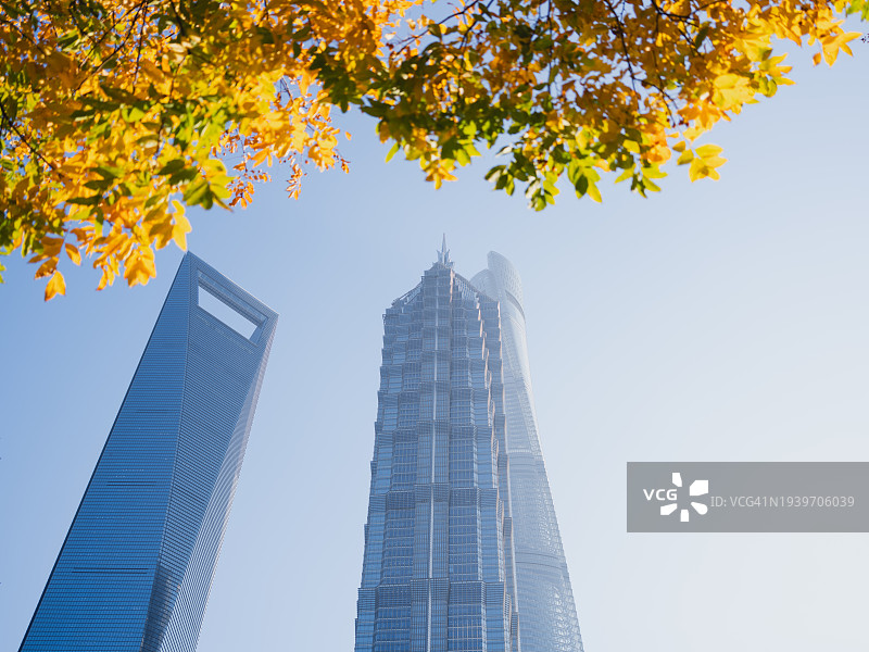 中国上海的现代摩天大楼图片素材