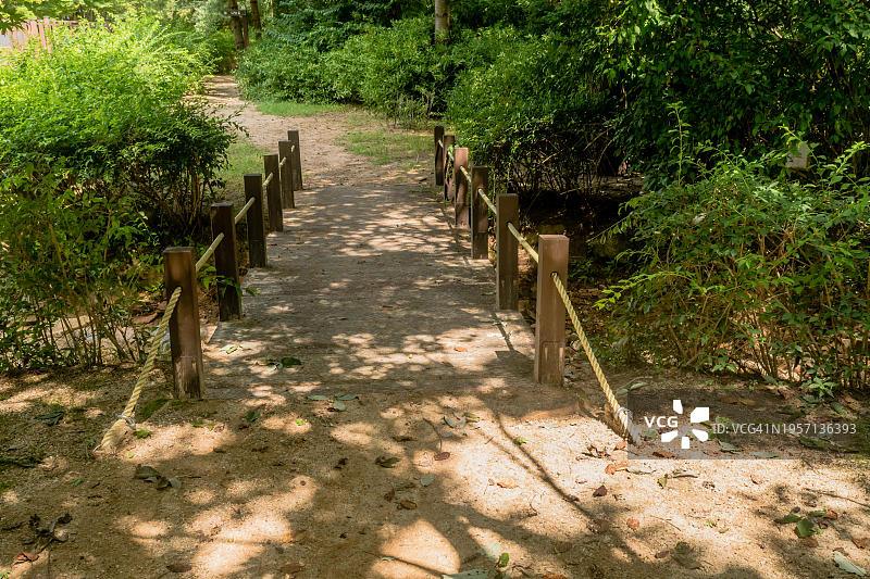 亚洲，韩国，野地公园徒步小道上的小木桥图片素材
