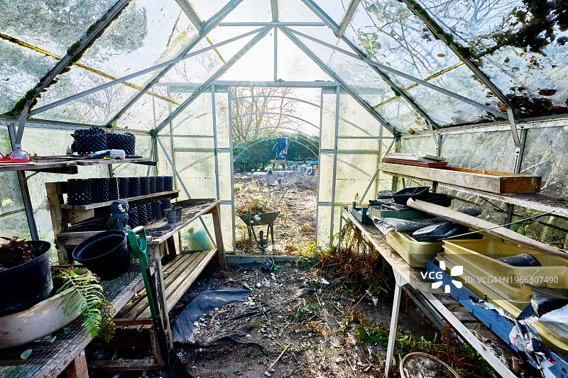杂草丛生的废弃花园和温室图片素材
