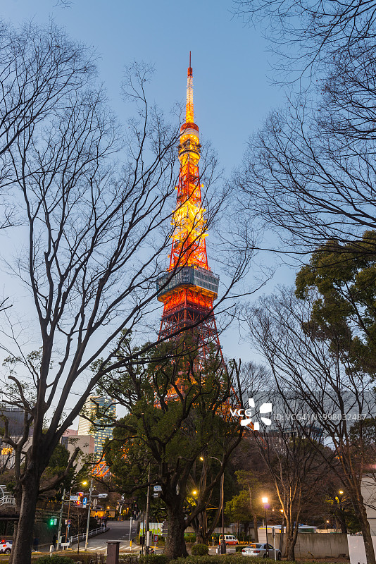 东京塔在黄昏时分透过树木照亮了日本图片素材