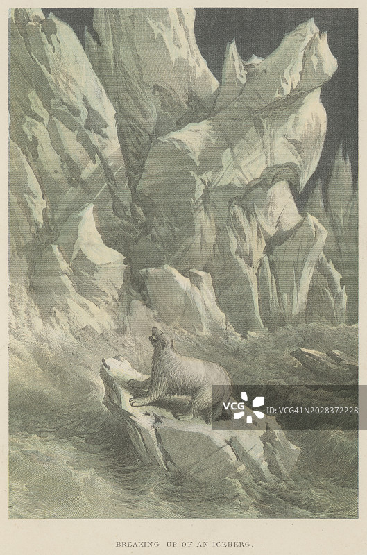 冰山上的北极熊的旧彩色版画插图图片素材