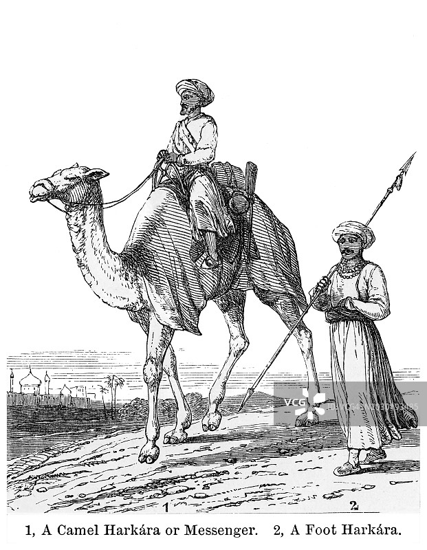 古老的雕刻插图骆驼哈拉卡拉(传递信息的人)和脚哈拉卡拉图片素材