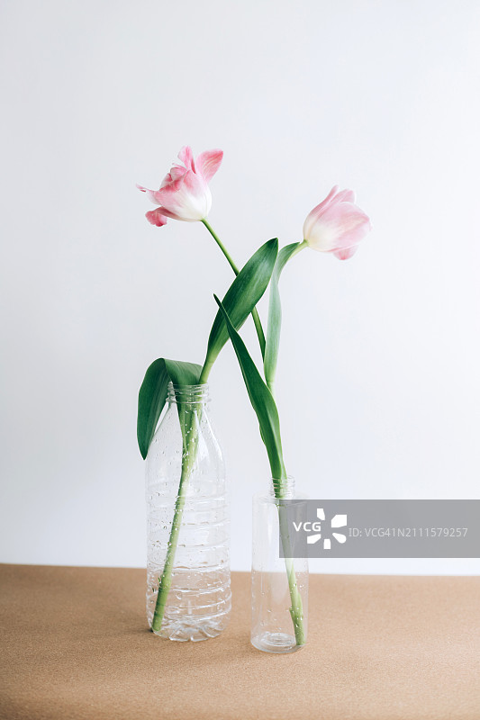 正面的创意构图与一束美丽的新鲜的春天郁金香和塑料瓶在桌子上。图片素材