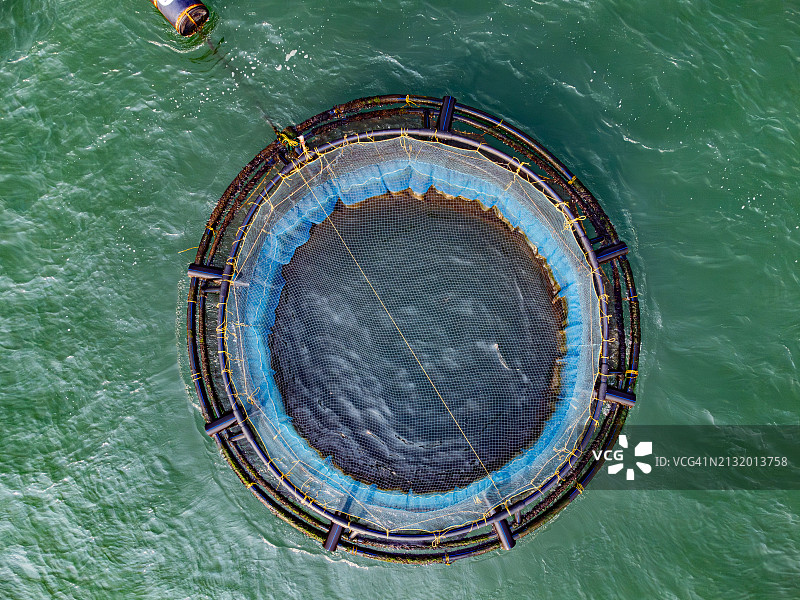 漂浮在海中央的鱼笼，里面装有鱼苗，用于养鱼图片素材