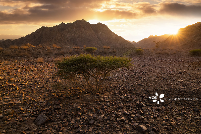 日落时分，阿拉伯联合酋长国，山脉中的岩石沙漠图片素材