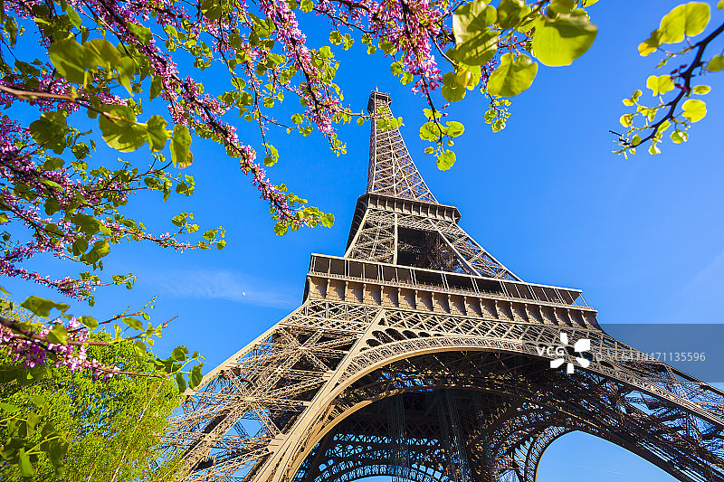 在法国巴黎的春天，埃菲尔铁塔图片素材