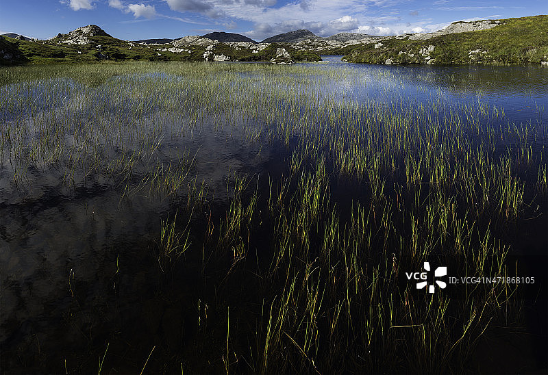 苏格兰夏季芦苇在清晰的山湖西赫布里底群岛图片素材