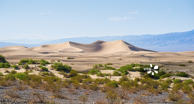 美国加利福尼亚州死亡谷牧豆树平原沙丘图片素材