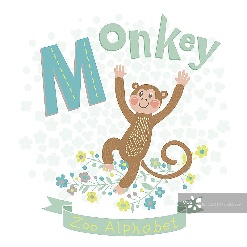 字母M -猴子图片素材