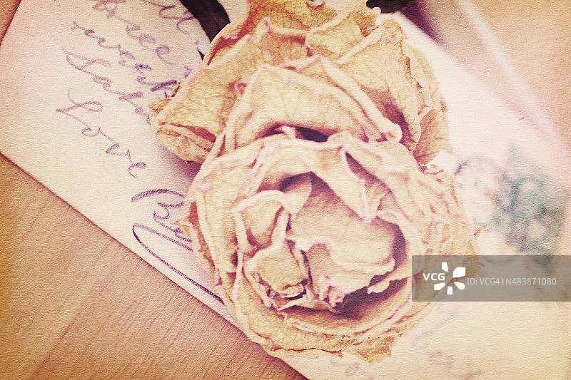 干玫瑰和老明信片的特写。图片素材
