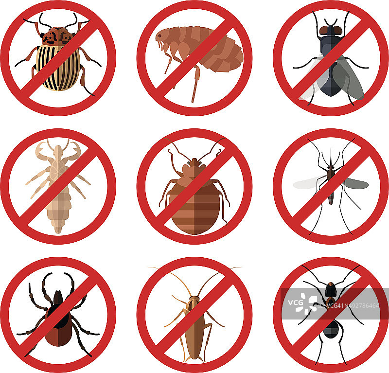 一套害虫昆虫图标图片素材