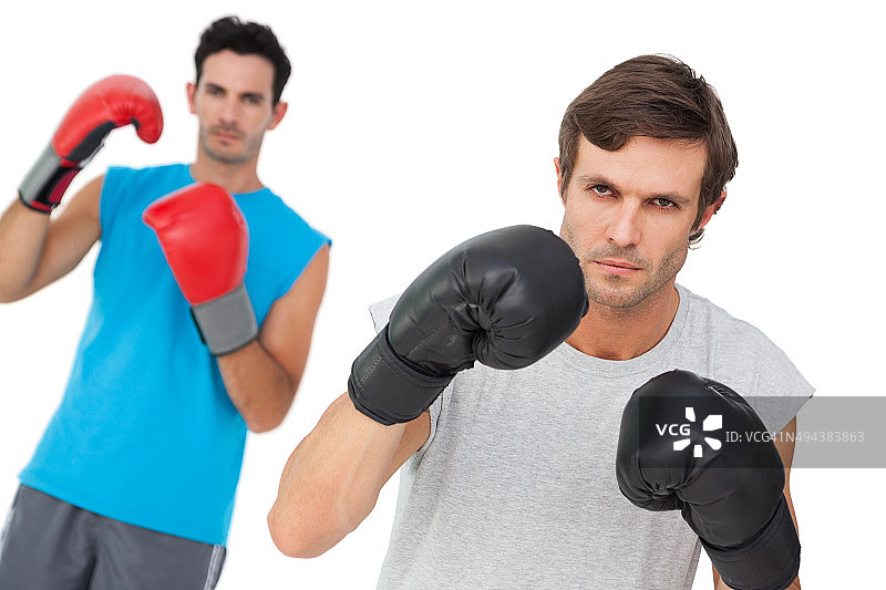 两个男拳击手练习的肖像图片素材