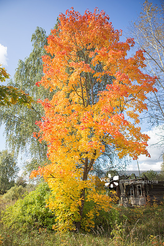 秋天的村庄图片素材