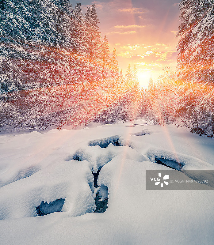 五彩缤纷的冬日日出在山林中图片素材