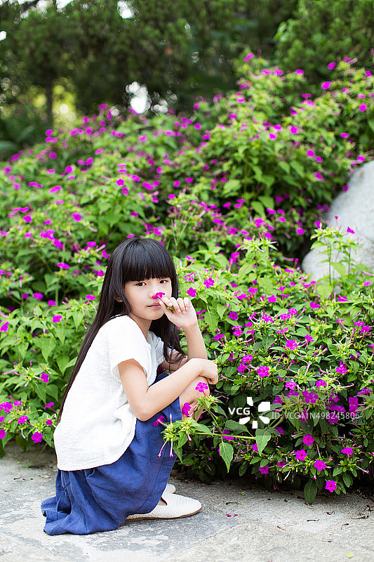 中国小女孩和牵牛花图片素材