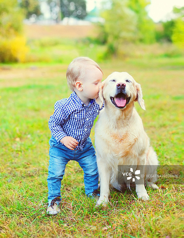 小男孩亲吻草地上的金毛寻回犬图片素材