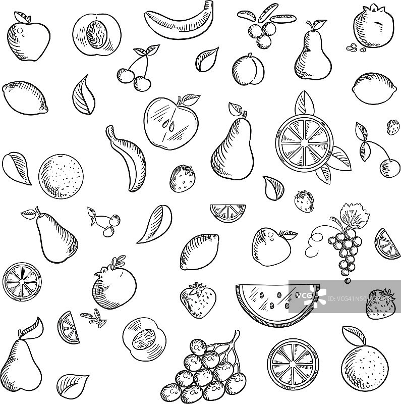 水果和浆果素描图标集图片素材