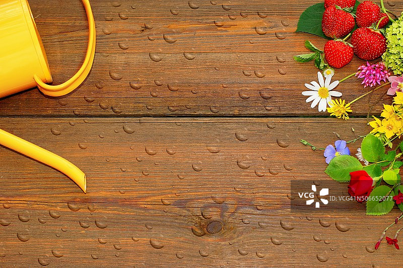 水罐，花和草莓滴效图片素材
