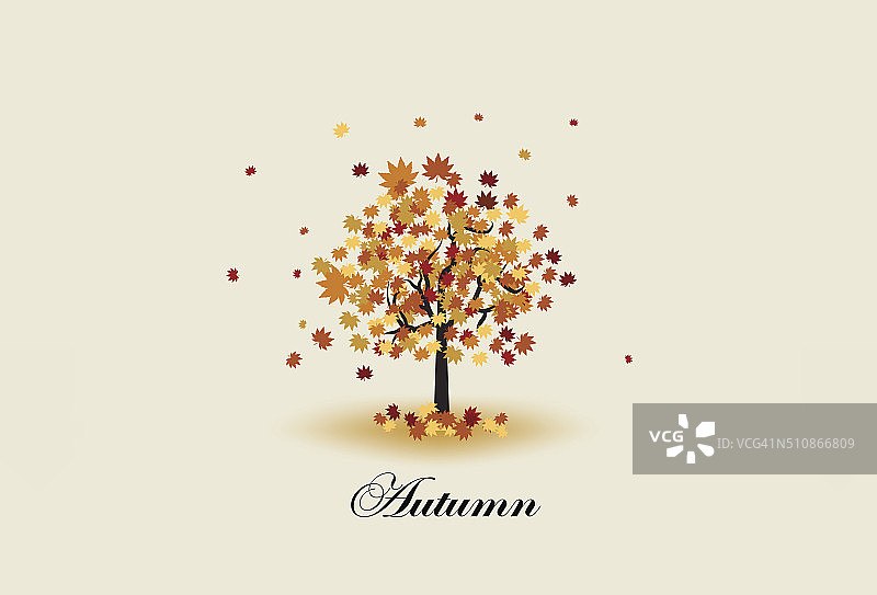 秋天的树带着美丽的飞叶图片素材
