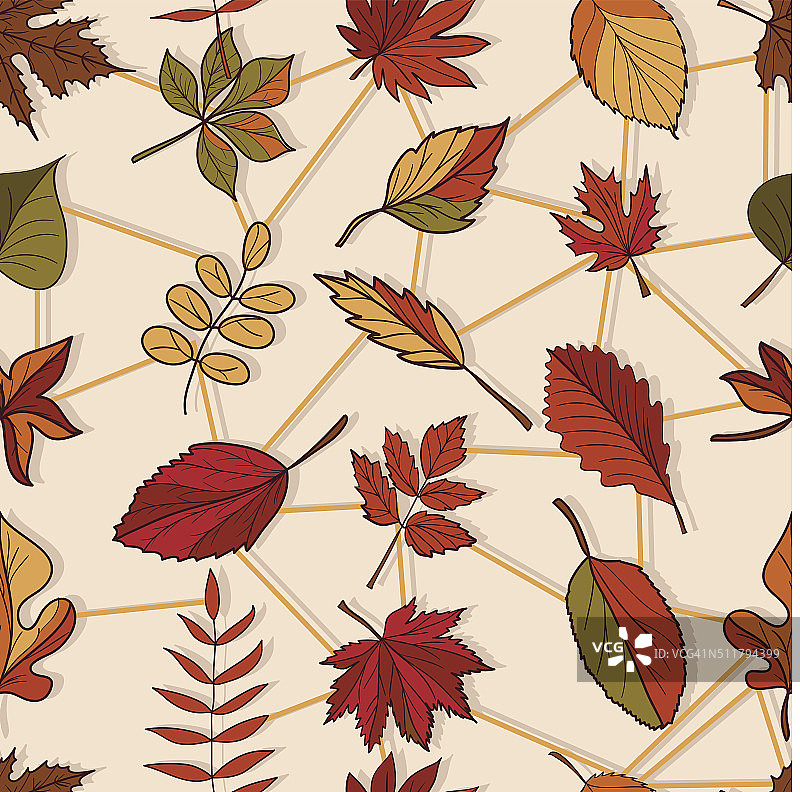 森林树木的秋天树叶的图案图片素材