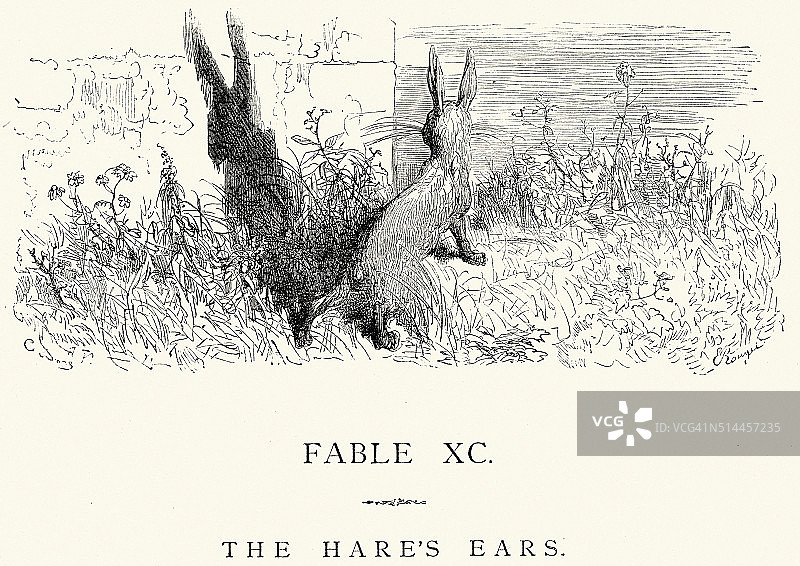 拉封丹的寓言——野兔的耳朵图片素材