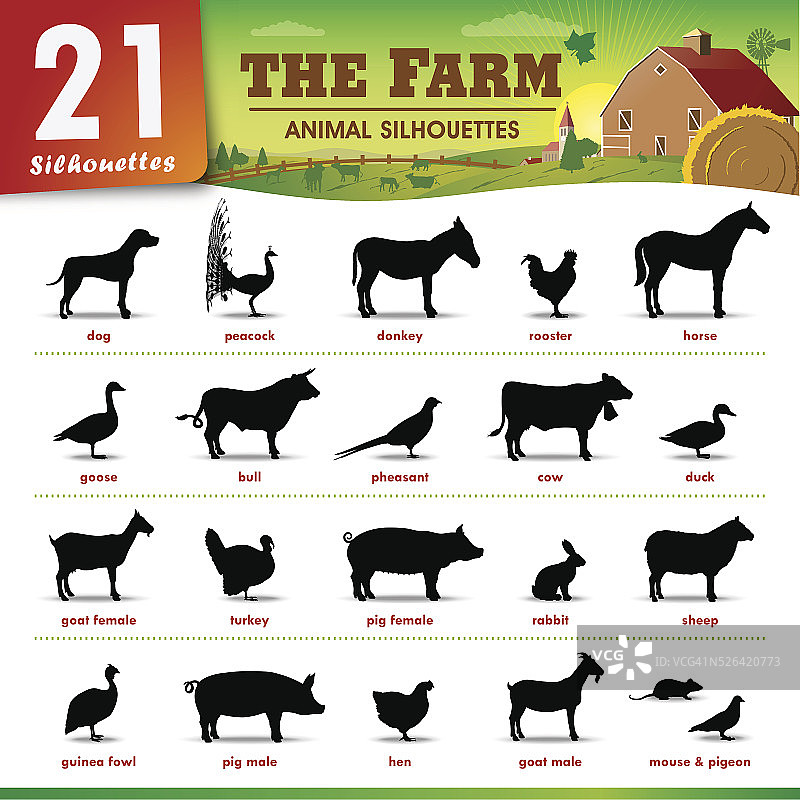 21农场动物的剪影图片素材