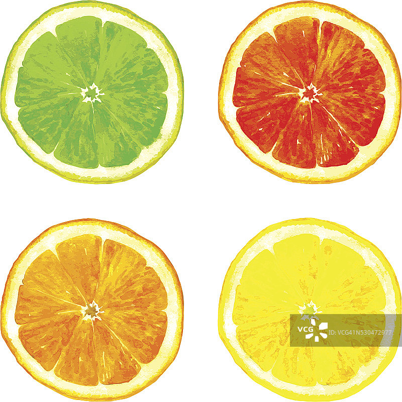 用水彩画的柑橘类水果片图片素材