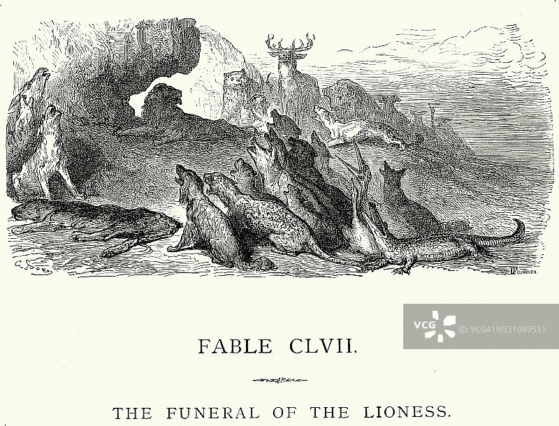 拉封丹的寓言-狮子的葬礼图片素材