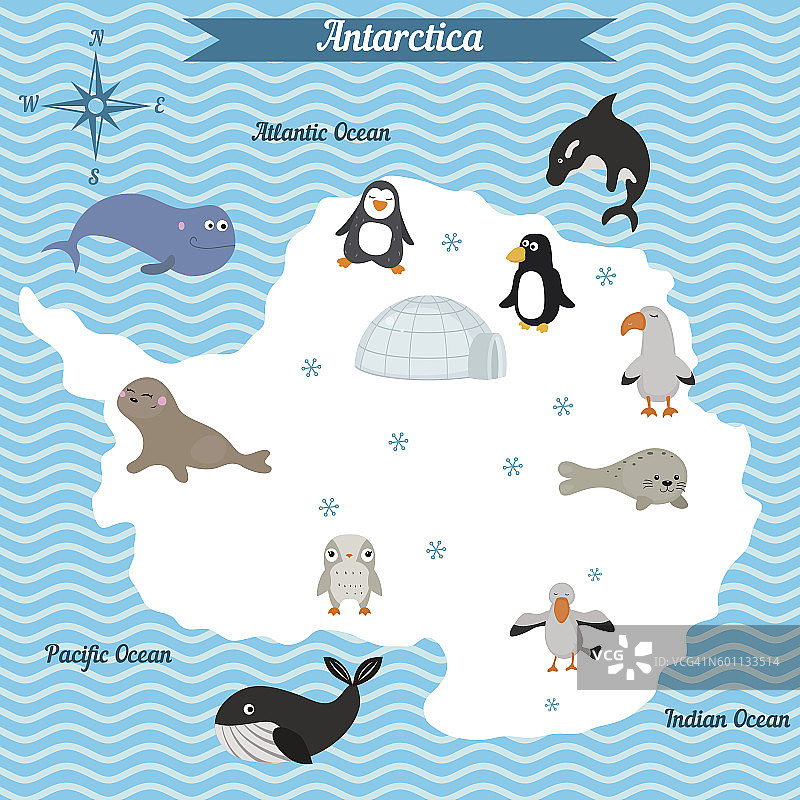 卡通地图的南极大陆与不同的动物。图片素材