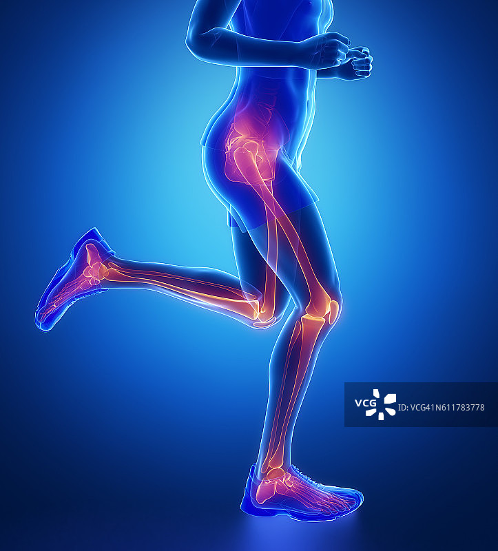膝盖，臀部，脚踝跑步男人腿扫描在蓝色图片素材