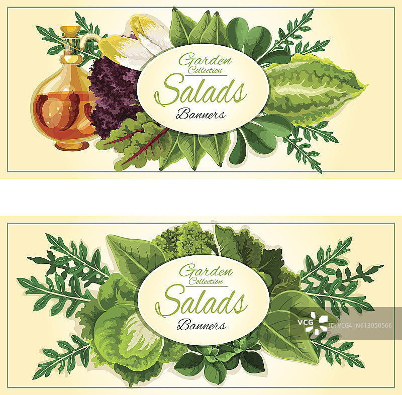 沙拉绿色和蔬菜叶条幅图片素材