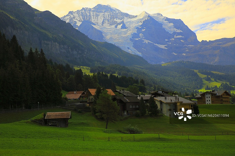 少女，翁根阿尔卑斯村，Lauterbrunnen田园诗般的山谷，瑞士阿尔卑斯山图片素材