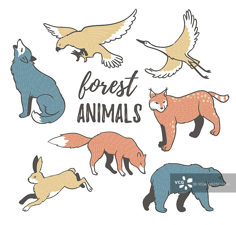 矢量卡通手绘野生森林动物。图片素材