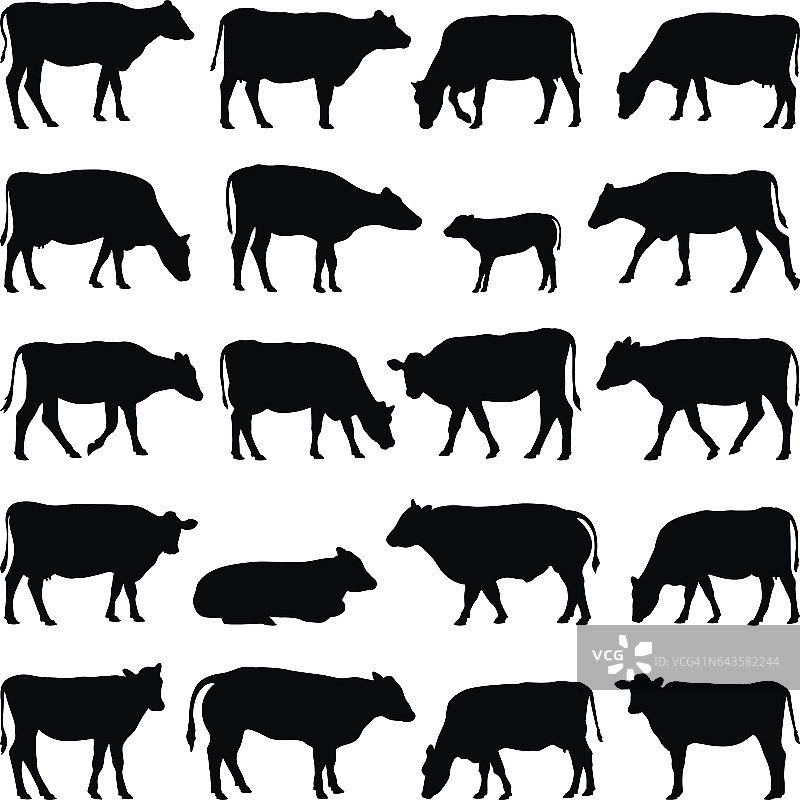奶牛收集-向量剪影图片素材