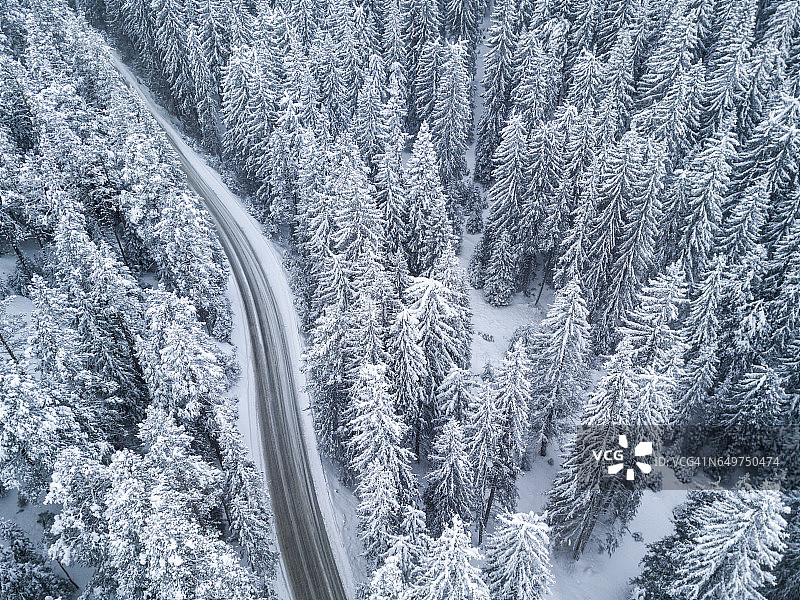 鸟瞰图的积雪覆盖的松林图片素材