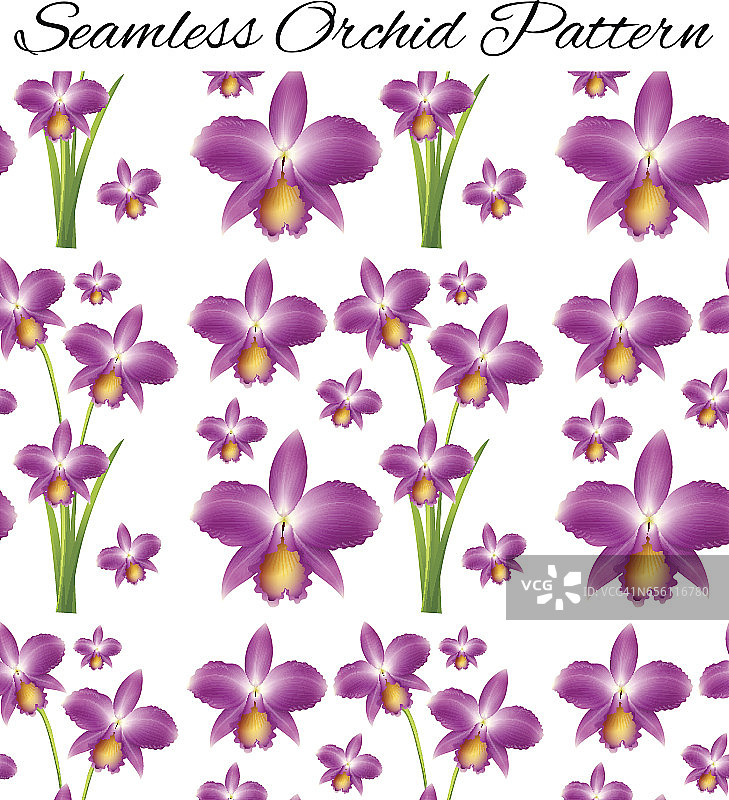 无缝背景与紫色兰花图片素材