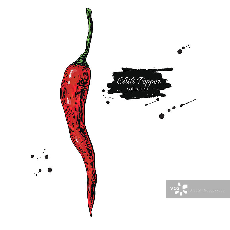 辣椒辣椒手绘矢量图。蔬菜对象。孤立的辣的图片素材