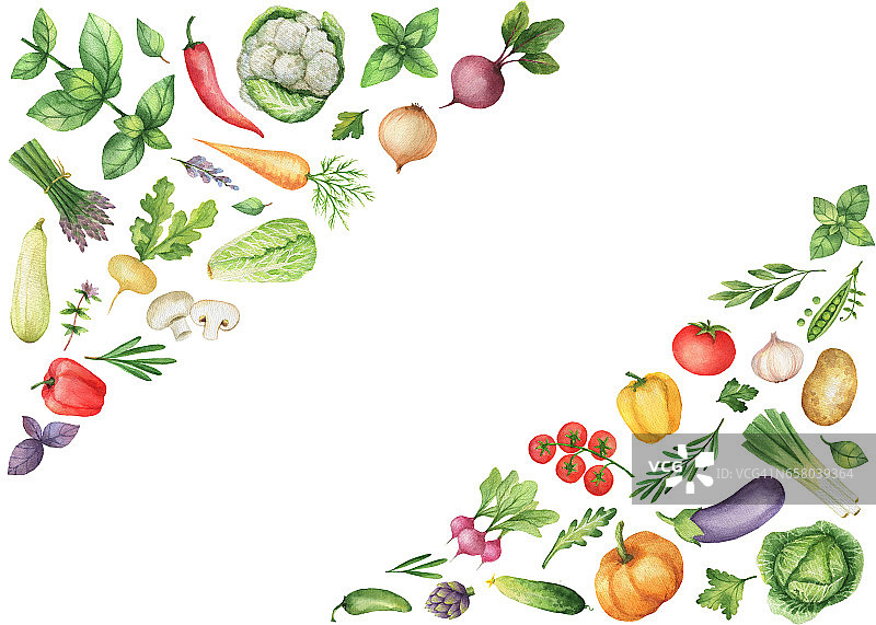 水彩蔬菜和香草孤立的白色背景。图片素材