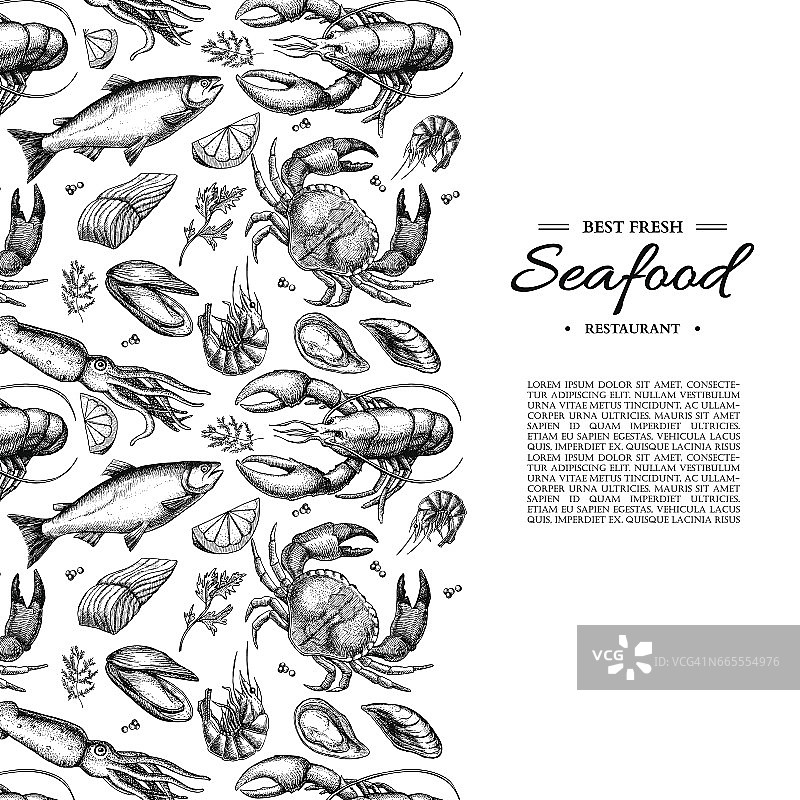海产品手绘矢量图。蟹，龙虾，虾，牡蛎，贻贝，鱼子酱图片素材