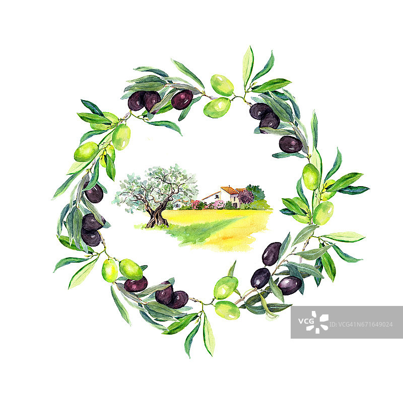 法国普罗旺斯的橄榄枝、橄榄树和乡村农舍。圆的花环。水彩图片素材