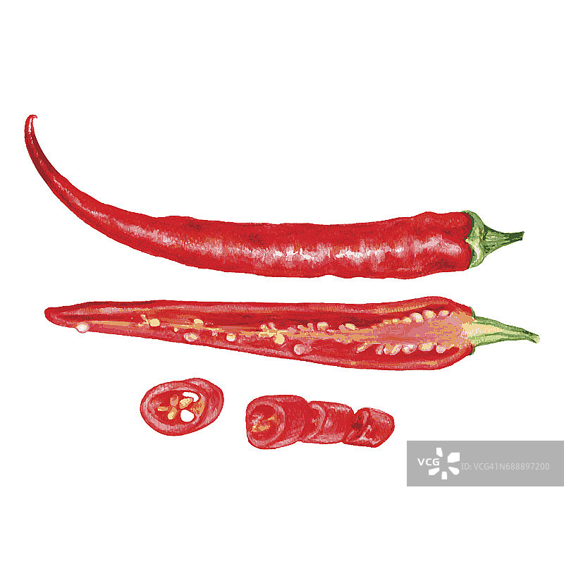 水彩画新鲜红辣椒孤立在白底，矢量插图，烹饪食材，调味品，手绘辣味为设计菜单，包装番茄酱，酱，天然有机产品图片素材