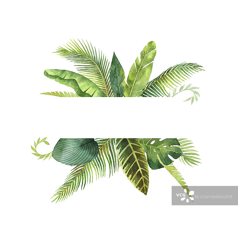 水彩旗帜热带树叶和树枝孤立在白色的背景。图片素材