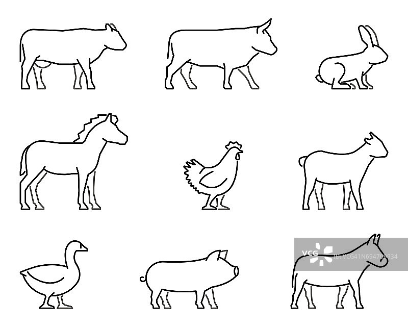 农场动物的矢量线图标图片素材