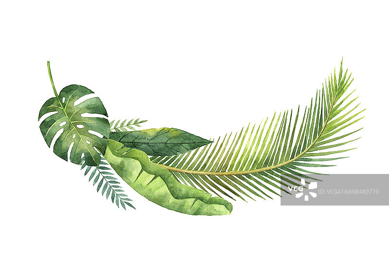 水彩花环热带树叶和树枝孤立在白色的背景。图片素材
