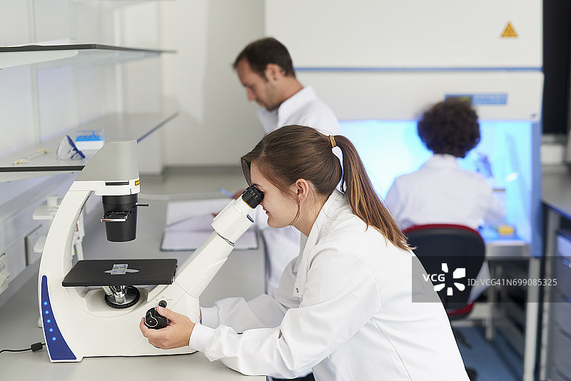 科学家在实验室通过显微镜观察图片素材
