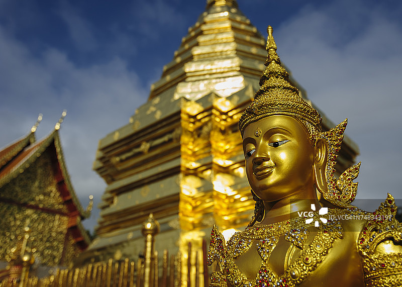 泰国，清迈，素贴寺，华丽的金色雕像和柴迪图片素材