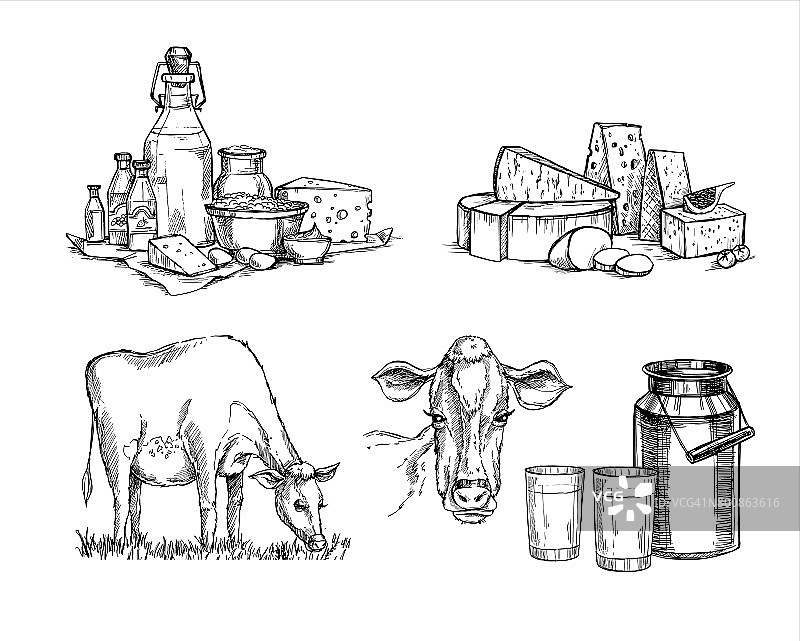 手绘矢量插图。牛奶农场。奶酪和牛奶套装(马苏里拉奶酪，蓝奶酪，豪达干酪，帕尔马干酪，马斯丹)。草图风格的设计元素。完美的包装，菜单，卡片图片素材