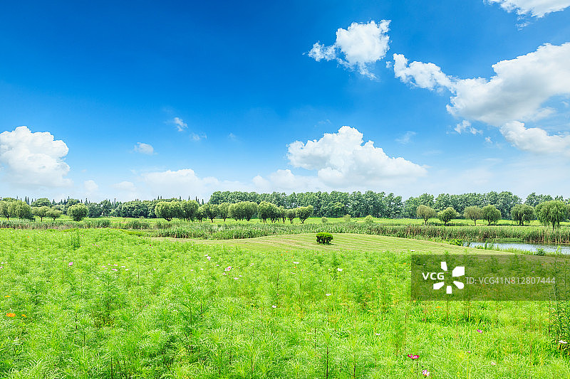 绿色的田野和蓝色的天空图片素材